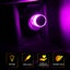 USB Plug Lamp Mini USB LED Night Light Travel Camping Light Mobile Carousel 6
