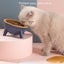 Cat Dog Bowl With Stand Pet Feeding Elevated Dishes Dishes Feeders & Fountains Carousel 6