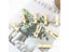 25 30 35 45mm Natural Wood Clothes Pegs Clips DIY Craft 30 50 100PCS Carousel 4