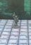 Monster Miniatures Orcs Set of 6 Dungeons and Dragons dice4dungeons FDG Carousel 7