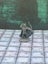 Monster Miniatures Orcs Set of 6 Dungeons and Dragons dice4dungeons FDG Carousel 9