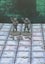 Monster Miniatures Orcs Set of 6 Dungeons and Dragons dice4dungeons FDG Carousel 3