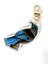 ACRYLIC CHARM ~ NZ Tui Carousel 6