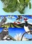 ‘FRIDGE ART’ JUMBO MAGNET ~ NZ Birds Carousel 5