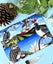 ‘FRIDGE ART’ JUMBO MAGNET ~ NZ Birds Carousel 6