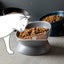 Elevated Cat Bowls Small Dog 15 Tilted Raised Food Feeding Dish Carousel 4
