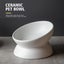 Elevated Cat Bowls Small Dog 15 Tilted Raised Food Feeding Dish Carousel 5