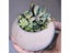 Round Clay Silicone Mold For DIY Concrete Resin Molds For Home Decor Carousel 2