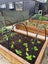 200x75 Trustwood Sleeper Carousel 4