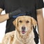 Pet Dog Cat Grooming Cleaning Magic Glove Hair For Dirt Remover Brush Deshedding Carousel 6
