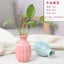 Modern Minimalist Ceramic Small Vases Artificial Flowers Dry Flowers Carousel 3