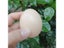 5/10Pcs 5.5*4cm Chicken House Small Fake Eggs Farm Animal Supplies Cages Carousel 4
