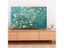 TV Cover TV Protector Carousel 5