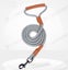 PTN NEW Dog Lead Clearance Clearance Carousel 4