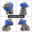 NEW Inflatable Dog Collar - New Carousel 4