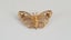 Beautiful Vintage 9ct Gold Butterfly Brooch Carousel 1