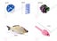 Cat Toy In Stock Deal Carousel 3