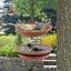 2 Pack Wall Mounted Hanging Bird Feeder, Bird Bath Bowl & Bird Feeder For Attrac Carousel 4