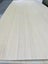 Caravan Ply pine face 3mm Carousel 4