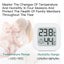 Thermometer Hygrometer Carousel 8