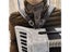 16-120 Bass Accordions 76-113CM Adjustable Leather Shoulder Straps Carousel 5