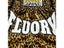 Fluory Printing Fight Shorts Boxing Shorts Embroidery Patches Muay Thai Shorts Carousel 6