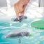 Playmobil Wiltopia Boat Trip to the Manatees Carousel 4