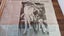 VINTAGE PRINCESS DIANA REMEMBRANCE NZ HERALD 8/9/1997 Carousel 11