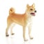 Mojo Shiba Inu Carousel 1