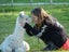 Pet Alpacas for Sale Carousel 5