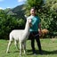 Pet Alpacas for Sale Carousel 3
