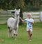 Pet Alpacas for Sale Carousel 7