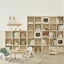 Bookshelf Bookcase Carousel 6