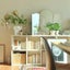 Bookshelf Bookcase Carousel 14