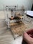 luxury mealworm farm ( cycle set with worm and beetles) Carousel 3