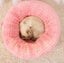 Warm Cat Bed Plush Puppy Cave Cat Deep Nest Carousel 3