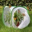 Insect and Butterfly Habitat Cage Terrarium Pop-up (Green,12 X 12 X 12 Inches) Carousel 1