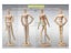 Hot Sale 30cm 12" Wooden Manikin Movable Limbs Human Mannequin Model For Artist Carousel 6