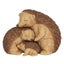 Jones: Hedgehog Family - Decorative Ornament Jones Home & Gifts Carousel 1