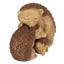 Jones: Hedgehog Family - Decorative Ornament Jones Home & Gifts Carousel 2