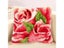Flowers Plants 3D Segment Embroidery Pillow Rug Kits Carousel 6
