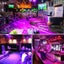 NEW Black Light Sale Sale Carousel 8