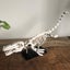 Mosasaur Skeleton Model with Display Stand 418 Pieces Dinosaur - Building blocks Carousel 4