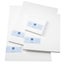 Museum Stretched Canvas Heavy Duty 12x48 inch SB Carousel 1