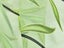 Pair of Willow Curtains Sheer Tulle Curtains Room Door Curtain Home Decor Green Carousel 6