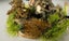 All Game Terrain, Green Base Paint Carousel 3
