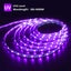 10m Black Light Strip NZ Clearance Carousel 1