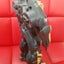 Vintage bumblebee walkietalkie Carousel 4