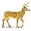 Safari Ltd Whitetail Buck XL Carousel 1