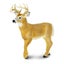 Safari Ltd Whitetail Buck XL Carousel 3